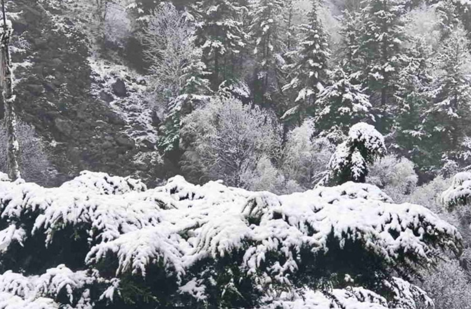 केदारनाथ-यमुनोत्री में बर्फबारी, बदरीनाथ से औली बर्फ से ढके