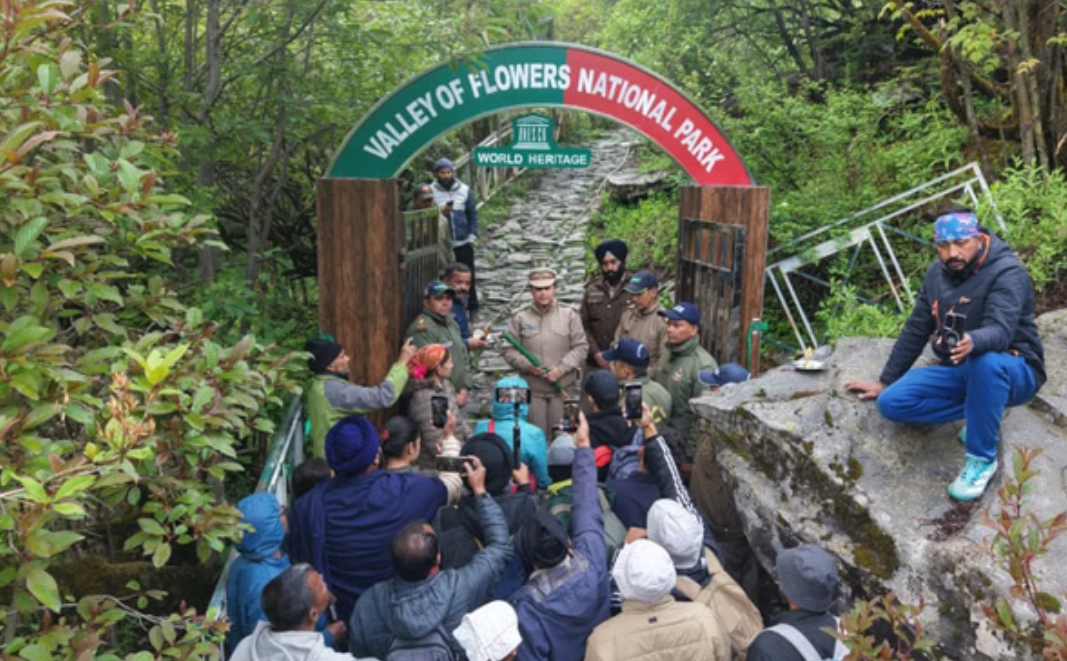 इंतजार हुआ खत्म, पर्यटकों के लिए खुली विश्व धरोहर फूलों की घाटी, रंग-बिरंगे फूल बिखेर रहे रंगत